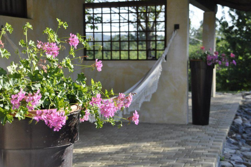Premiata Osteria Dei Fiori Bed and Breakfast Cortiglione Δωμάτιο φωτογραφία