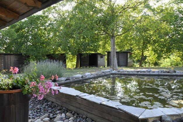 Premiata Osteria Dei Fiori Bed and Breakfast Cortiglione Δωμάτιο φωτογραφία